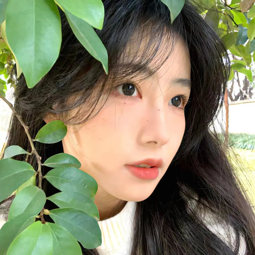 天生浪漫