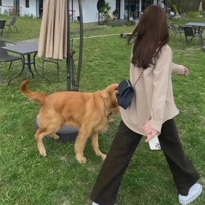 东方少年第二季